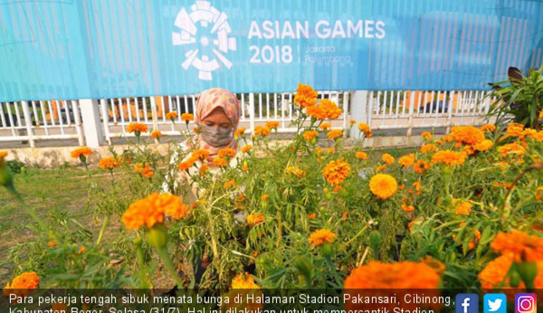 Para pekerja tengah sibuk menata bunga di Halaman Stadion Pakansari, Cibinong, Kabupaten Bogor, Selasa (31/7). Hal ini dilakukan untuk mempercantik Stadion dalam rangka menyambut Asian Games 2018. - JPNN.com