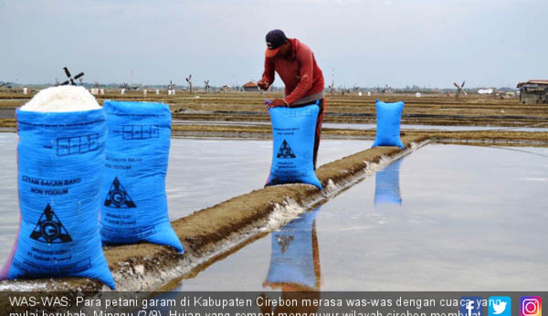 WAS-WAS: Para petani garam di Kabupaten Cirebon merasa was-was dengan cuaca yang mulai berubah, Minggu (2/9). Hujan yang sempat mengguyur wilayah cirebon membuat para petani garam memanen dini garam mereka. - JPNN.com