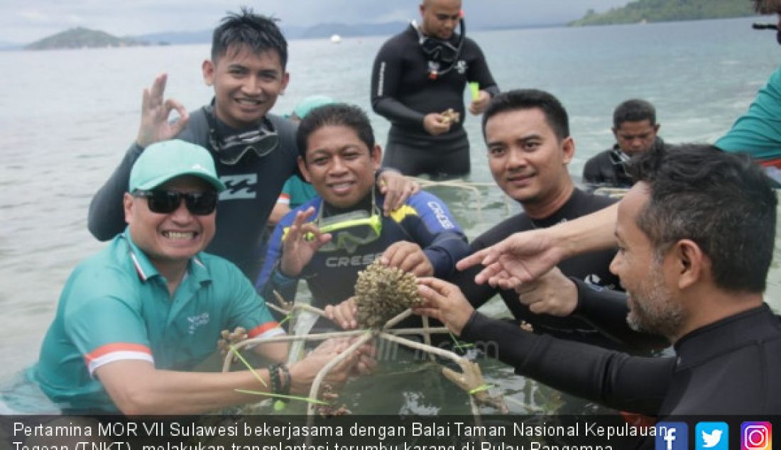 Pertamina MOR VII Sulawesi bekerjasama dengan Balai Taman Nasional Kepulauan Togean (TNKT) melakukan transplantasi terumbu karang di Pulau Pangempa, Kepulauan Togean, Sulawesi Tenggara, Kamis (6/9). - JPNN.com