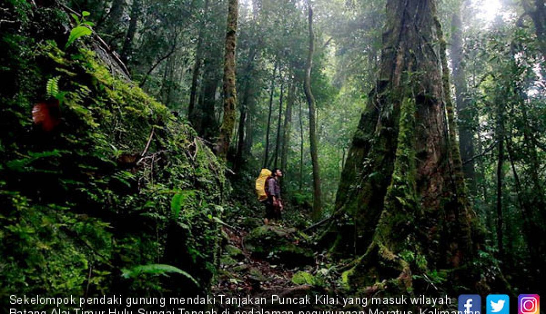 Sekelompok pendaki gunung mendaki Tanjakan Puncak Kilai yang masuk wilayah Batang Alai Timur Hulu Sungai Tengah di pedalaman pegunungan Meratus, Kalimantan Selatan. - JPNN.com