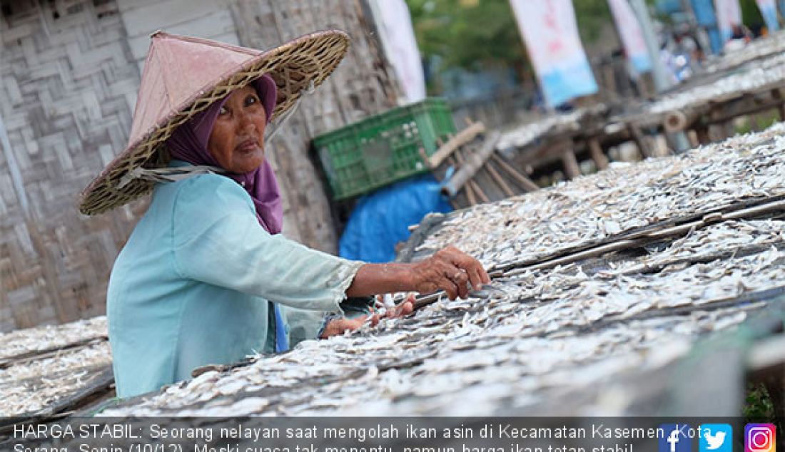 HARGA STABIL: Seorang nelayan saat mengolah ikan asin di Kecamatan Kasemen, Kota Serang, Senin (10/12). Meski cuaca tak menentu, namun harga ikan tetap stabil. - JPNN.com