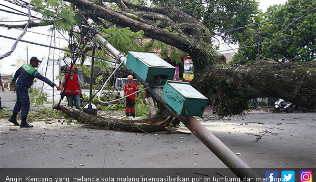 Angin Kencang yang melanda kota malang mengakibatkan pohon tumbang dan menimpa PJU di jalan Arjuno, kota Malang, Minggu (27/1). - JPNN.com