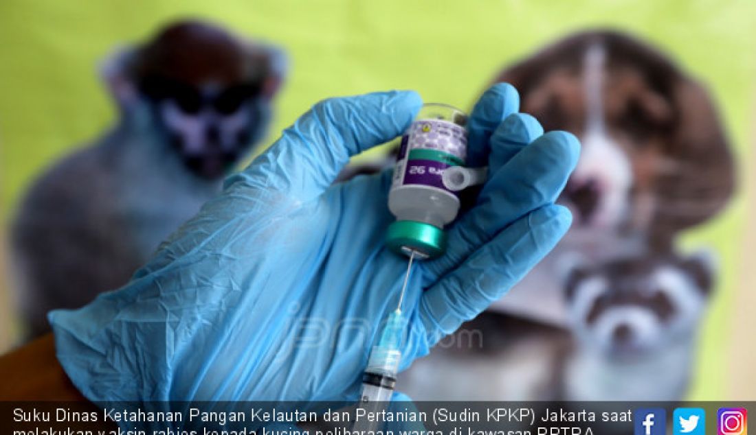Suku Dinas Ketahanan Pangan Kelautan dan Pertanian (Sudin KPKP) Jakarta saat melakukan vaksin rabies kepada kucing peliharaan warga di kawasan RPTRA Rasamala, Jakarta Selatan, Kamis (21/3). Vaksinasi ini digelar setiap tahun untuk mencegah penyebaran virus rabies yang ditularkan melalui gigitan hewan. - JPNN.com