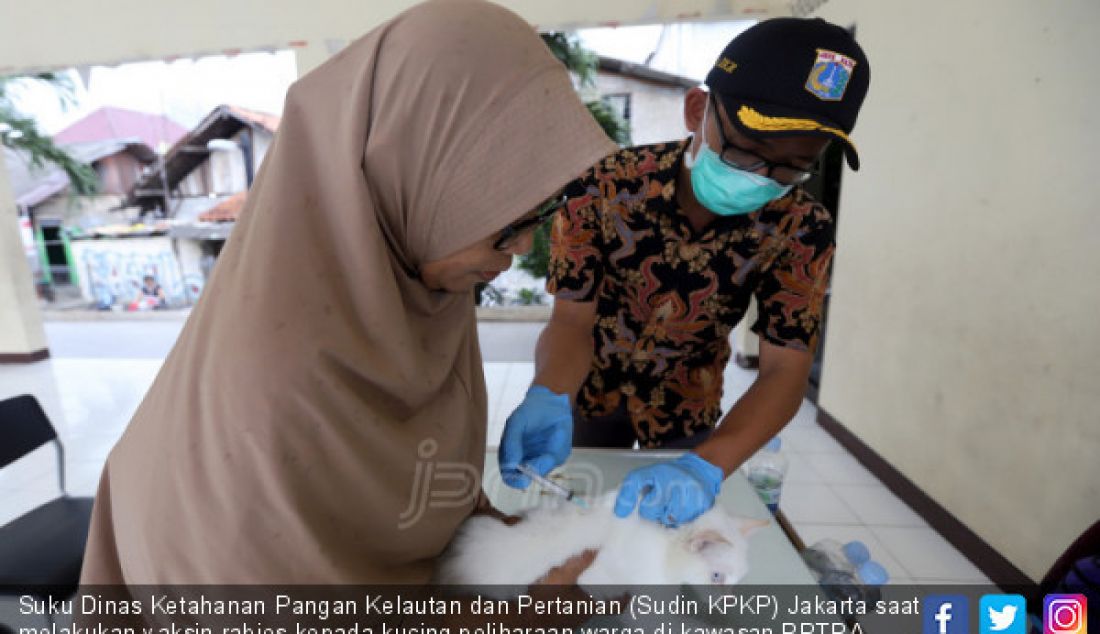 Suku Dinas Ketahanan Pangan Kelautan dan Pertanian (Sudin KPKP) Jakarta saat melakukan vaksin rabies kepada kucing peliharaan warga di kawasan RPTRA Rasamala, Jakarta Selatan, Kamis (21/3). - JPNN.com