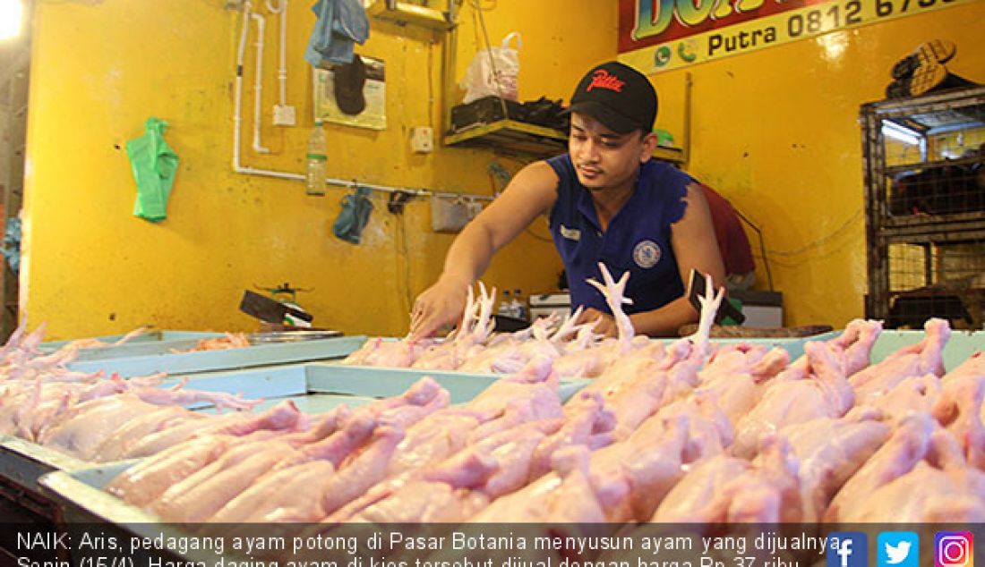 NAIK: Aris, pedagang ayam potong di Pasar Botania menyusun ayam yang dijualnya, Senin (15/4). Harga daging ayam di kios tersebut dijual dengan harga Rp 37 ribu per kilogram. - JPNN.com