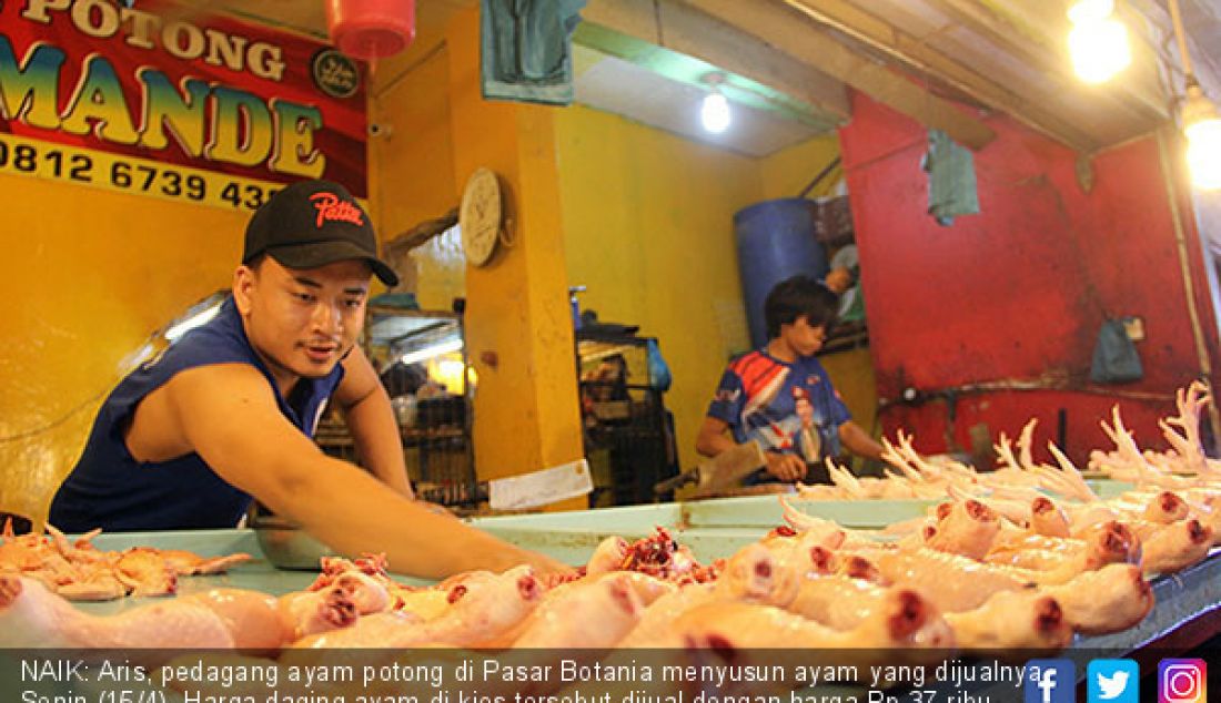 NAIK: Aris, pedagang ayam potong di Pasar Botania menyusun ayam yang dijualnya, Senin (15/4). Harga daging ayam di kios tersebut dijual dengan harga Rp 37 ribu per kilogram. - JPNN.com