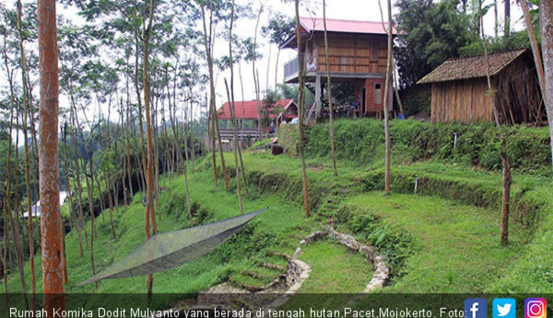Rumah Komika Dodit Mulyanto yang berada di tengah hutan,Pacet,Mojokerto. - JPNN.com