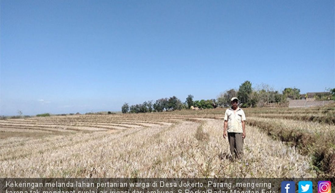 Kekeringan melanda lahan pertanian warga di Desa Jokerto, Parang, mengering karena tak mendapat suplai air irigasi dari embung. S Reska/Radar Magetan - JPNN.com