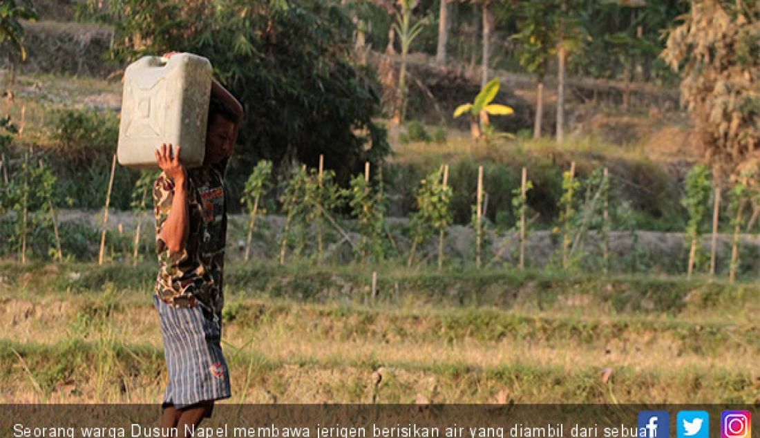 Seorang warga Dusun Napel membawa jerigen berisikan air yang diambil dari sebuah sumur yang ada di area persawahan, Kamis (18/7). - JPNN.com