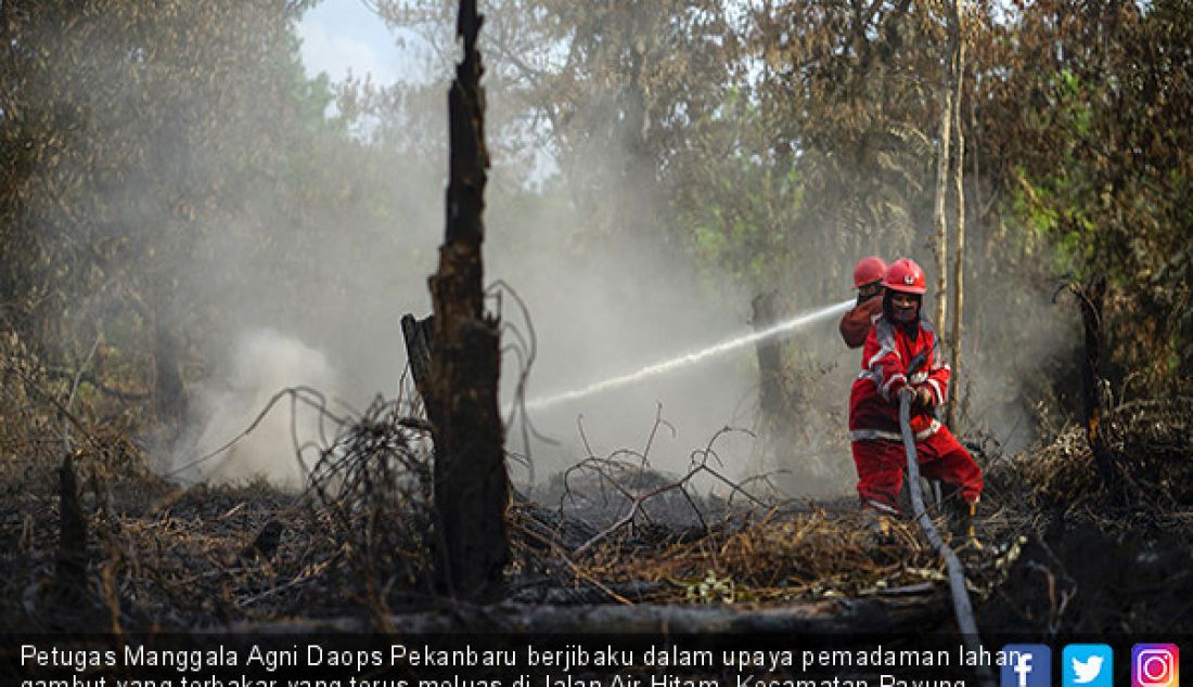 Petugas Manggala Agni Daops Pekanbaru berjibaku dalam upaya pemadaman lahan gambut yang terbakar yang terus meluas di Jalan Air Hitam, Kecamatan Payung Sekaki, Kota Pekanbaru, Senin (5/8). - JPNN.com