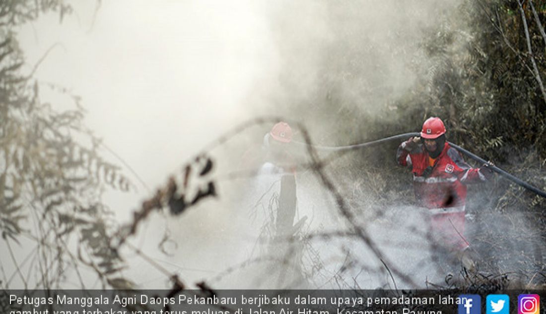 Petugas Manggala Agni Daops Pekanbaru berjibaku dalam upaya pemadaman lahan gambut yang terbakar yang terus meluas di Jalan Air Hitam, Kecamatan Payung Sekaki, Kota Pekanbaru, Senin (5/8). - JPNN.com