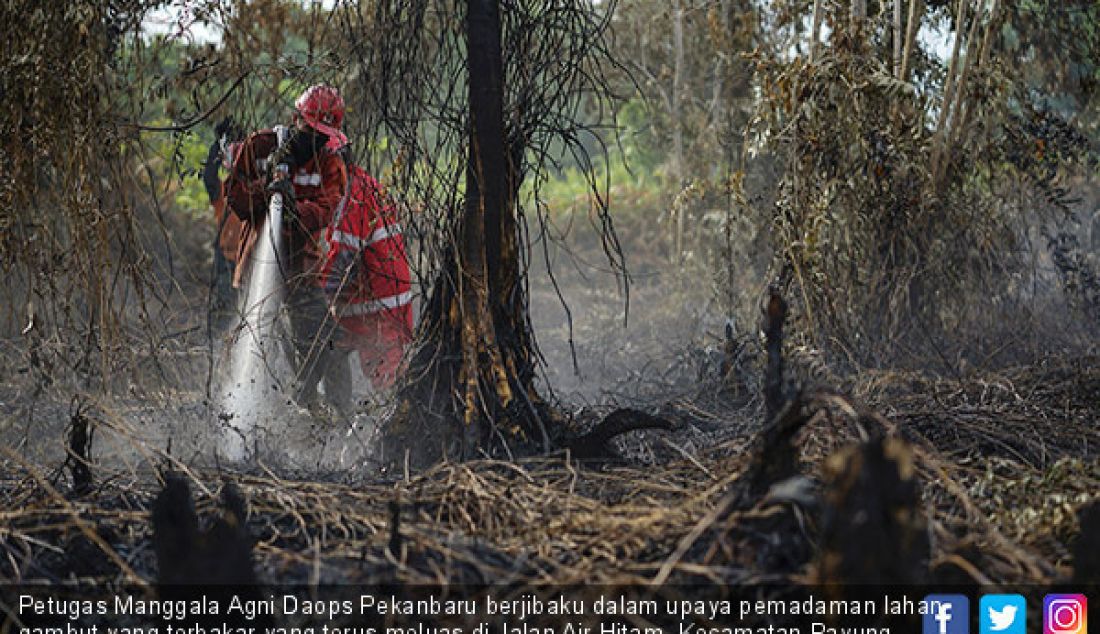 Petugas Manggala Agni Daops Pekanbaru berjibaku dalam upaya pemadaman lahan gambut yang terbakar yang terus meluas di Jalan Air Hitam, Kecamatan Payung Sekaki, Kota Pekanbaru, Senin (5/8). - JPNN.com