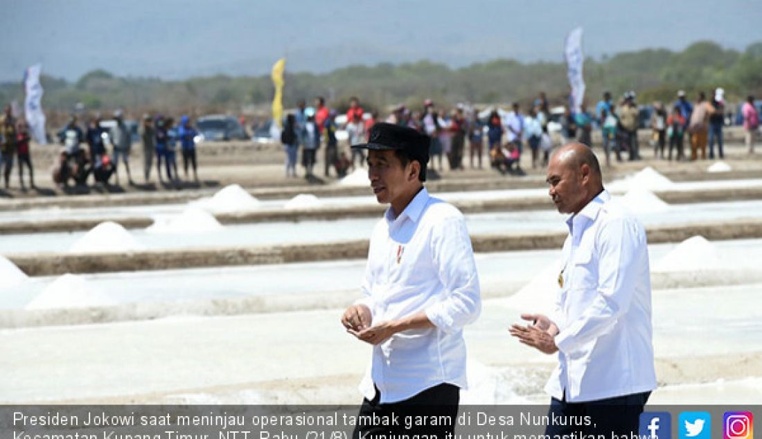 Presiden Jokowi saat meninjau operasional tambak garam di Desa Nunkurus, Kecamatan Kupang Timur, NTT, Rabu (21/8). Kunjungan itu untuk memastikan bahwa tambak garam di yang ada di sana sudah mulai berproduksi. - JPNN.com