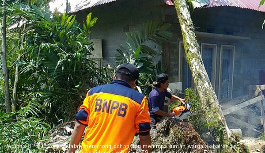 Petugas BPBD Solok Selatan memotong pohon dan menimpa rumah warga akibat angin puting beliung. Dari data petugas didapati sebanyak 79 rumah warga rusak. - JPNN.com