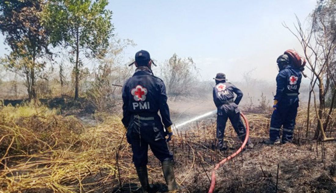 Sejumlah relawan dari PMI Kabupaten Banjar, Kalimantan Selatan berupaya memadamkan api karhutla. - JPNN.com