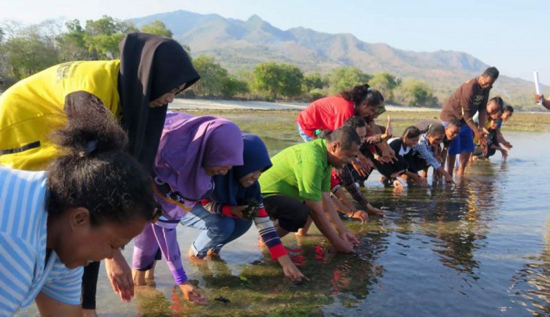 Para warga nelayan di Lamakera, Kecamatan Solor Timur, Kabupaten Flores Timur, Nusa Tenggara Timur, melakukan kegiatan pelestarian laut dengan melepaskan tukik di wilayah perairan setempat. - JPNN.com