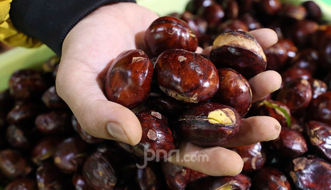 Pedagang Jengkol di Pasar Bogor, Jawa Barat, Rabu (29/4). Pemerintah Kota Bogor memastikan stok pangan di Kota Bogor, Jawa Barat, relatif aman selama Ramadhan hingga Lebaran. - JPNN.com