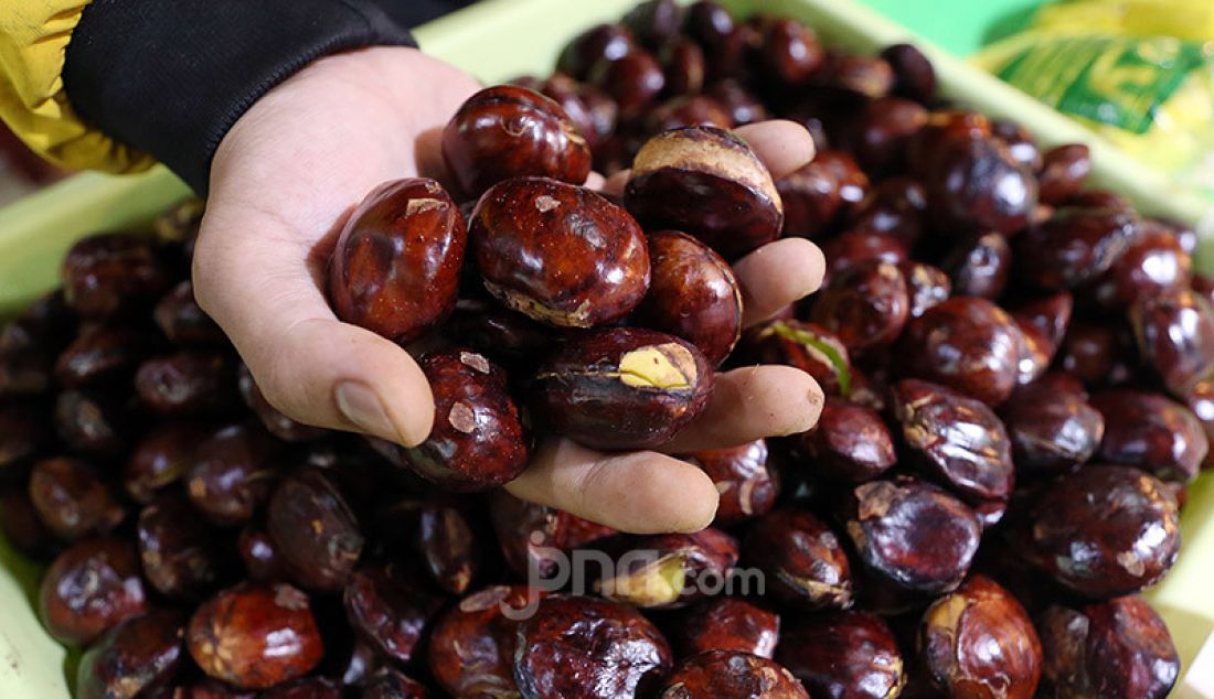 Pedagang Jengkol di Pasar Bogor, Jawa Barat, Rabu (29/4). Pemerintah Kota Bogor memastikan stok pangan di Kota Bogor, Jawa Barat, relatif aman selama Ramadhan hingga Lebaran. - JPNN.com