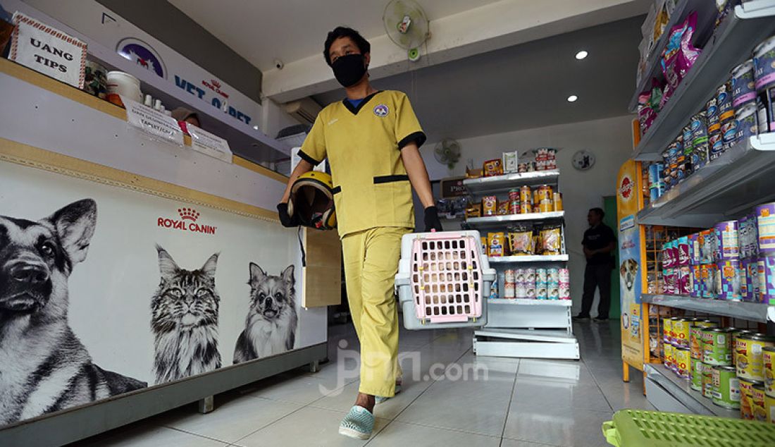 Perawat hewan mengantarkan kucing usai diperiksa di Vetopet Animal Clinic, Cibinong, Bogor, Jumat (15/5). Jasa penitipan hewan di klinik mengalami penurunan jelang Lebaran akibat himbauan larangan mudik di saat pandemi COVID-19. - JPNN.com
