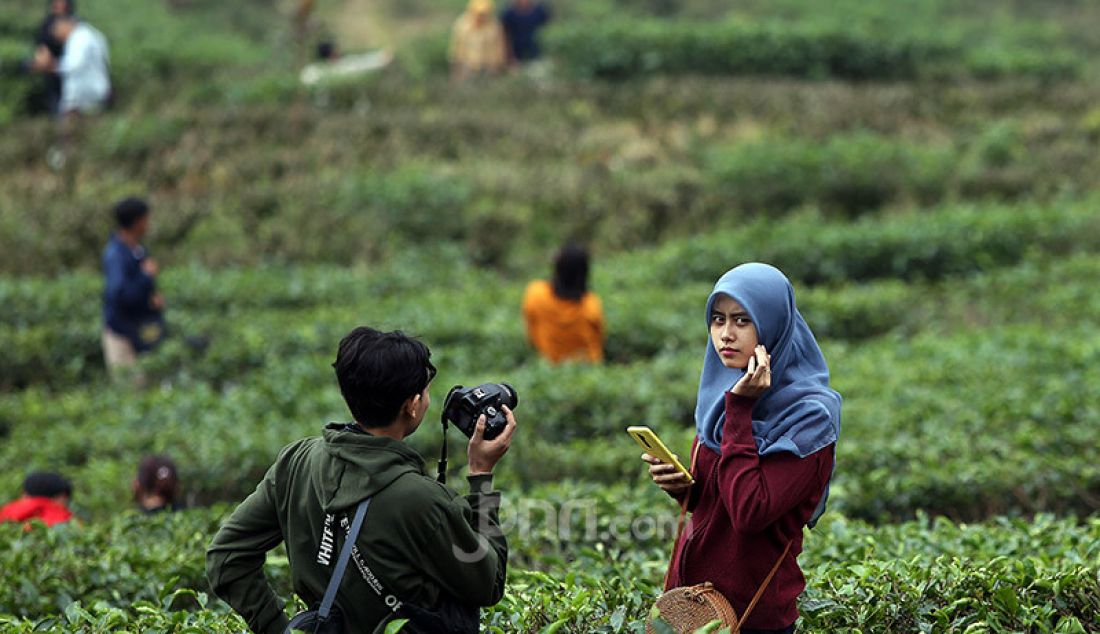 Sejumlah wisatawan mengunjungi perkebunan teh di kawasan Puncak, Kabupaten Bogor, Sabtu (13/6). Mereka ingin melepas penat dan mencari udara segar. - JPNN.com