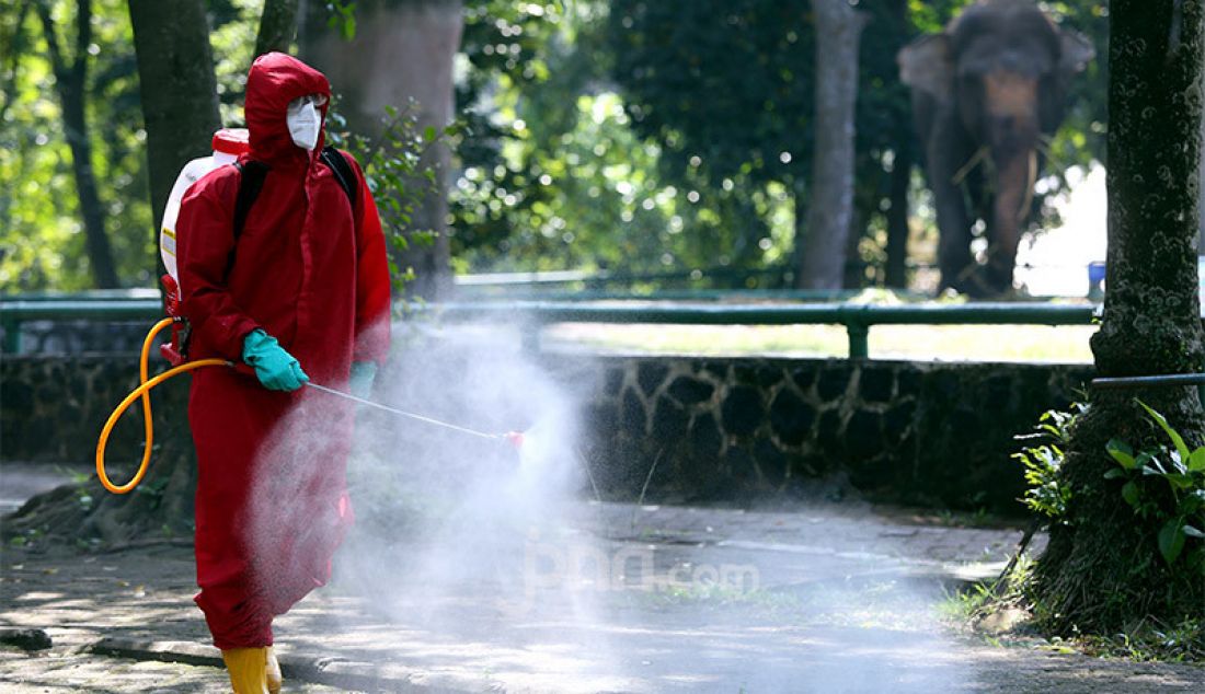 Petugas pemadam kebakaran Sudin Jaksel melakukan penyemprotan disinfektan di Taman Margasatwa Ragunan, Jakarta, Rabu (17/6). Penyemprotan dilakukan jelang dibukanya kembali pada 20 Juni mendatang. - JPNN.com