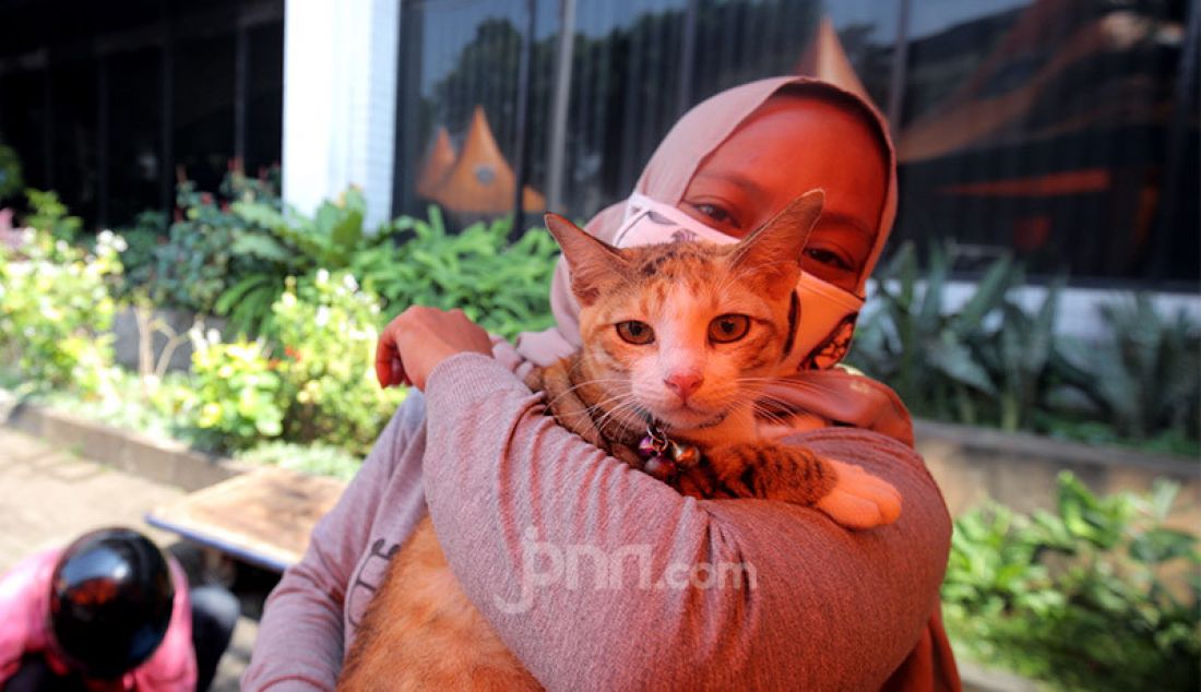 Warga membawa binatang peliharaannya saat secara layanan drive thru di gedung Dinas Ketahanan Pangan, Kelautan, Pertanian (KPKP) DKI Jakarta, Jakarta, Senin (28/9). Vaksinasi hewan Layanan Tanpa Turun (Lantatur) peliharaan milik warga seperti kucing dan anjing ini dilakukan secara gratis untuk memperingati Hari Rabies Sedunia yang diperingati setiap tanggal 28 September. - JPNN.com