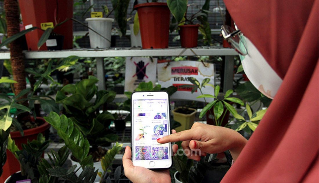 Pedagang tanaman hias di Titik Hijau, Bojongsari, Depok, Jawa Barat memanfaatkan internet untuk pemasaran dan mendongkrak penjualan. Penjualan tanaman hias secara daring meningkat pada masa pandemi Covid-19 dibandingkan pemasaran secara offline. - JPNN.com