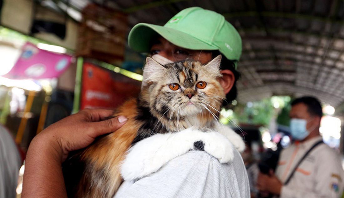 Warga membawa hewan peliharaan miliknya untuk divaksin rabies di Gang Kingkit, Kelurahan Kebon Kelapa, Kecamatan Gambir, Jakarta, Selasa (3/11). Kegiatan vaksinasi itu dilakukan oleh Suku Dinas ketahanan Pangan, Kelautan dan Perikanan (KPKP) Jakarta Pusat untuk mencegah penularan Covid-19. - JPNN.com