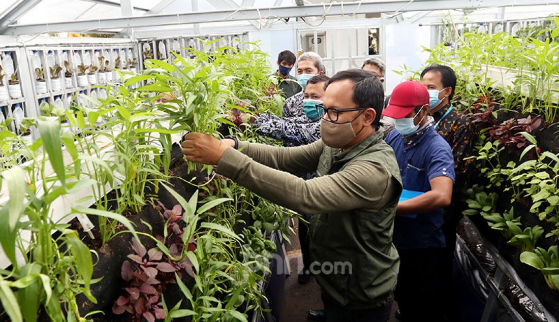 Wali Kota Bogor Bima Arya saat membuka pameran Bogor Berkebun di Balai Kota Bogor, Jawa Barat, Jumat (4/12). Pameran yang diikuti Kelompok Wanita Tani (KWT) Kota Bogor itu bertujuan meningkatkan sektor pertanian sebagai alternatif mata pencaharian di masa pandemi COVID-19. - JPNN.com