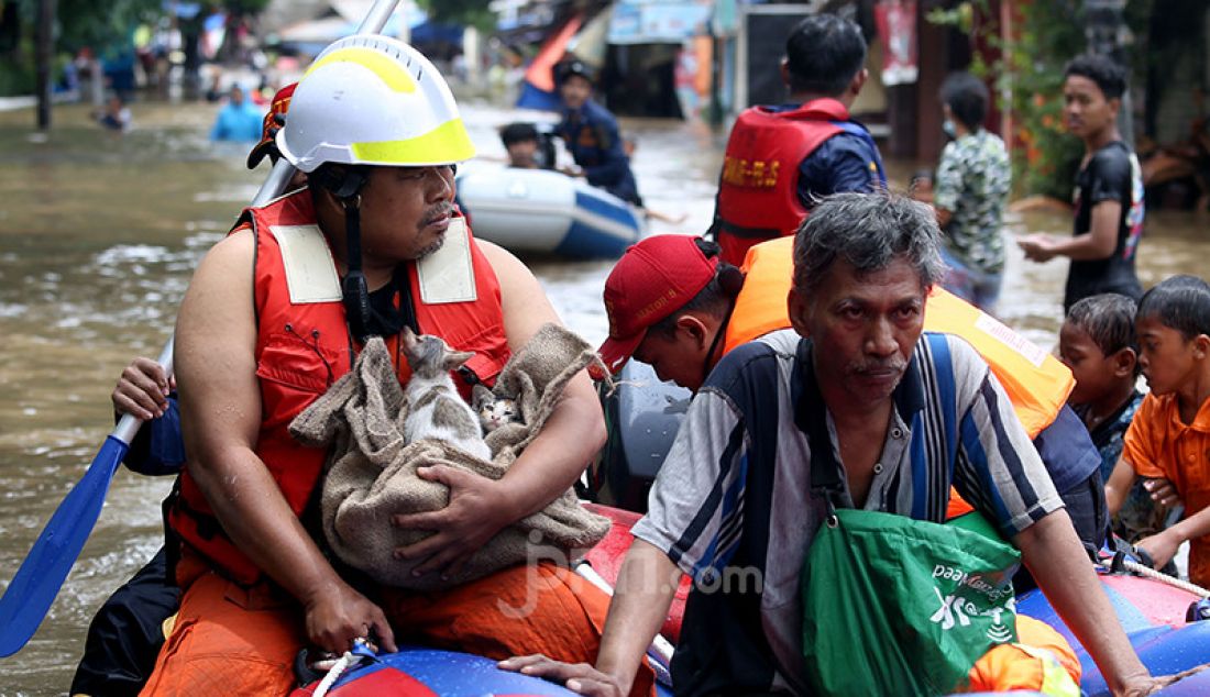 Petugas penyelamat mengevakuasi anak kucing yang terjebak banjir di Kelurahan Duren Tiga, Kecamatan Pancoran, Jakarta Selatab, Sabtu (20/2). Hujan yang mengguyur sejak Jumat (19/2) membuat sejumlah titik di Jakarta terendam banjir. - JPNN.com
