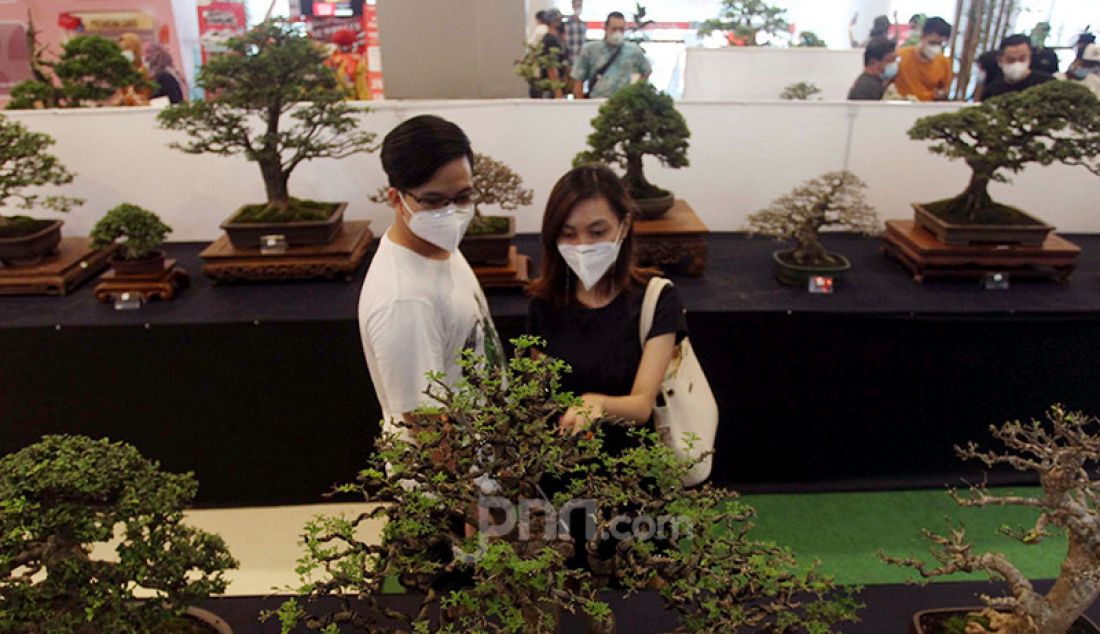 Pengunjung melihat pameran Suiseki Bonsai di Tangerang City Mall, Tangerang, Jumat (26/2). Pameran bonsai yang berlangsung pada 26-28 Februari 2021 itu merupakan bagian dari perayaan Imlek 2572. - JPNN.com