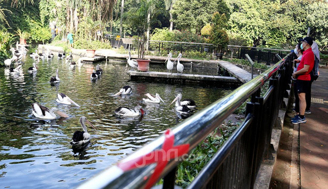 Suasana Taman Margasatwa Ragunan (TMR) di Jakarta Selatan, Minggu (14/3) yang kembali dibuka untuk umum. Warga DKI mengunjungi TMR untuk untuk rekreasi maupun berolahraga. - JPNN.com