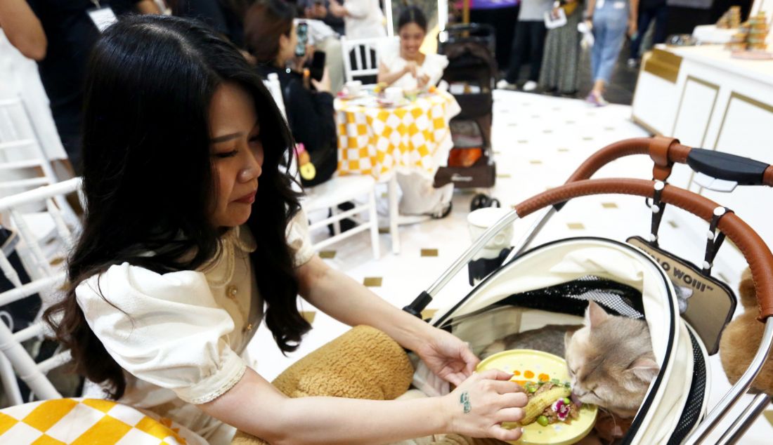 Catfluencers mencicipi hasil food-plating di booth Fancy Feast pada Indonesia International Pet Expo (IIPE) 2024 di ICE BSD, Kabupaten Tangerang, Banten, Jumat (6/9). PURINA FANCY FEAST menjadi salah satu produk, yang menyediakan berbagai pilihan makanan kucing, mulai dari varian salmon, tuna, dan chicken. - JPNN.com