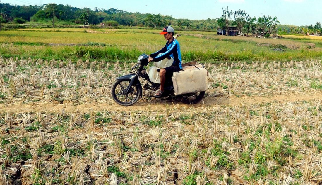 Warga mengambil air dari Kali Cihoe di Desa Sukagalih, Jonggol, Bogor, Minggu (8/9). Sudah dua bulan ratusan kepala keluarga di wilayah Desa Sukagalih mengalami krisis air bersih. Setiap hari warga yang mengambil air dari Kali Cihoe yang untuk memenuhi kebutuhan sehari-hari dan mengendapkannya semalam untuk kebutuhan air minum. - JPNN.com