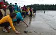BKSDA Lepasliarkan 40 Tukik di Sanur, Tatanan Pantai Buat Penyu Kabur - JPNN.com