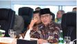 Yandri Susanto: Seluruh DPW dan DPD Minta Zulhas Kembali Pimpin PAN - JPNN.com