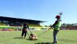 PSM vs Bali United: Teco Kritik Habis-habisan Rumput Stadion BJ Habibie, Memprihatinkan - JPNN.com