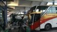 Jadwal Bus AKAP dari Bali ke Pulau Jawa Rabu 17 April 2024, Harga Tiket Kembali Normal! - JPNN.com