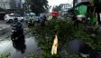 Hujan Lebat, Puluhan Pohon Tumbang, BMKG Ungkap Penyebab Cuaca Ekstrem di Semarang - JPNN.com