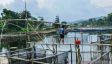 Produksi Ikan di Keramba Jaring Apung Purwakarta Capai 106.155 Ton - JPNN.com
