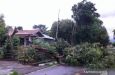 Cuaca Buruk: Angin Kencang Landa NTT, Dipicu Tekanan Rendah Australia Barat - JPNN.com Bali