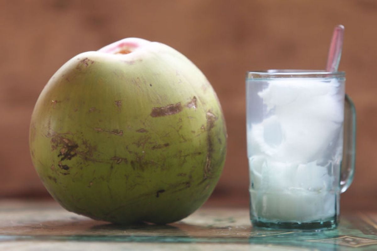 Khasiat minum air kelapa muda