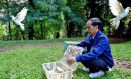 Presiden Jokowi Lepas Sejumlah Satwa di Istana dan Kebun Raya Bogor