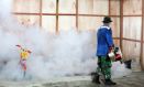 Tekan Penyebaran DBD, Dinkes Kota Gorontalo Giatkan Fogging