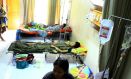 Jumlah Penderita DBD di Bogor Mulai Meningkat