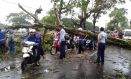 Diguyur Hujan Lebat, Sejumlah Pohon di Tasik Tumbang