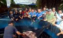 Panen Ikan Nila Jurnalis Mancing Indonesia