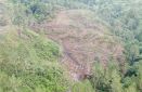 Hasil Investigasi KSPPM: Perambahan Hutan Lindung di Balik Banjir Bandang Humbang Hasundutan
