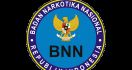 BNN Harus Lebih Garang Lagi - JPNN.com