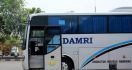 Damri dan Organda Sediakan 100 Bus Angkut Penumpang - JPNN.com